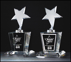 Constellation Series chrome plated metal Star on crystal base